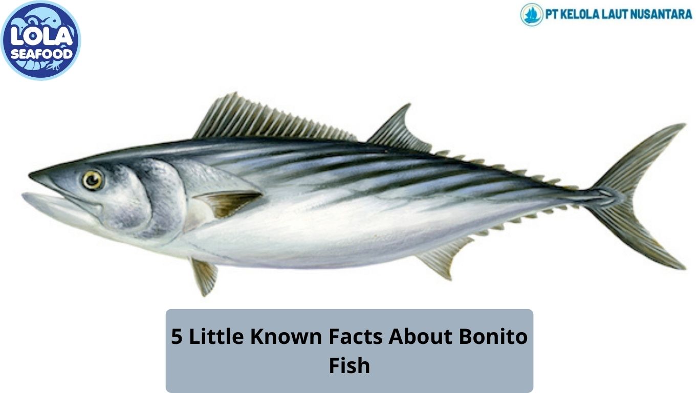 5 Little Known Facts About Bonito Fish